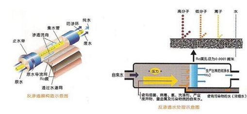 一体化工业美女裸体视频APP
